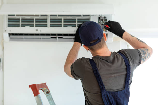 Best Air Vent Cleaning Services  in Wellington, CO