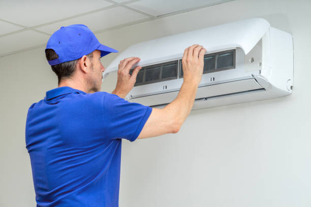 Best Affordable Duct Cleaning Services  in Wellington, CO